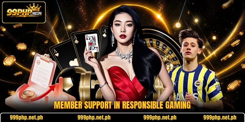 Member support in responsible gaming