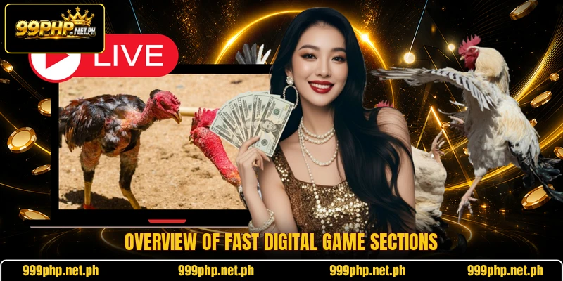 Overview of fast digital game sections