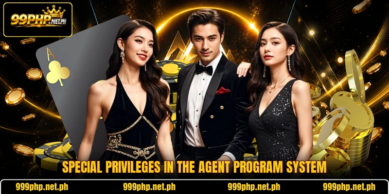 Special privileges in the agent program system